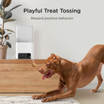 Petcube Bites 2 Lite smartphone application interface showing 1080p HD live feed