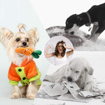 Nocciola small breed puppy toys set arranged cleanly to show all twelve distinct shapes
