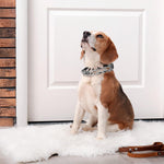Detail view of the durable material used in Frienda vinyl comfort covers for canine safety.