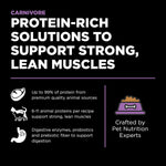 Go Solutions high protein grain free kibble for all life stages premium imported cat food