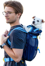 K9 Sport Sack Kloud Large Blue showing ergonomic shoulder straps for the wearer