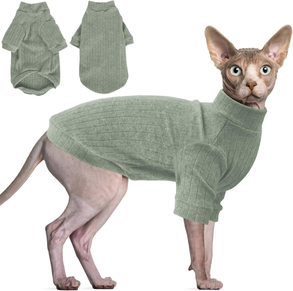 Idepet Sphynx hairless cat sweater front view in green