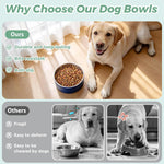LIHONG insulated pet bowl showing double wall construction