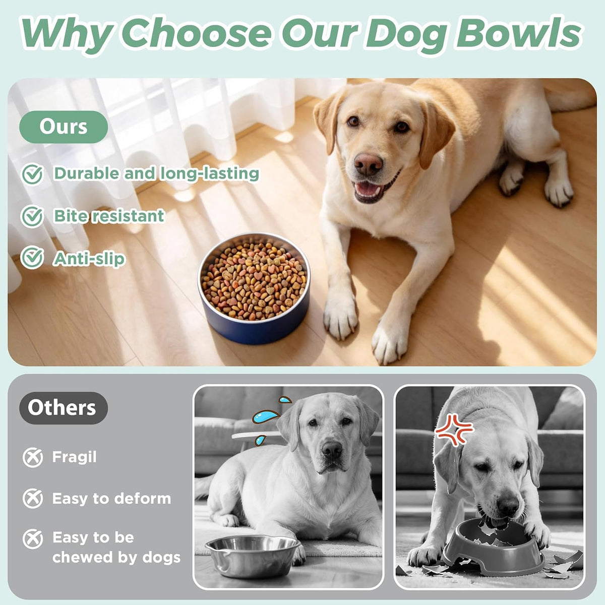 LIHONG insulated pet bowl showing double wall construction