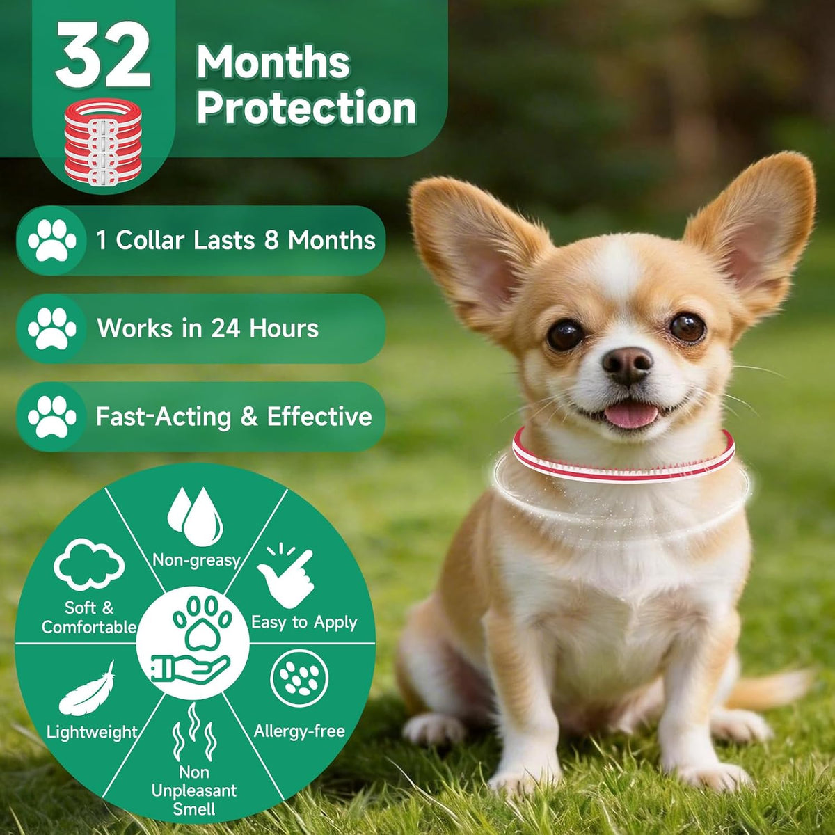 Woyamay waterproof flea and tick collar on a dog