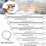 Small dog wearing Youalso stainless steel training collar
