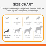 Nylabone medium dog chew toy packaging details