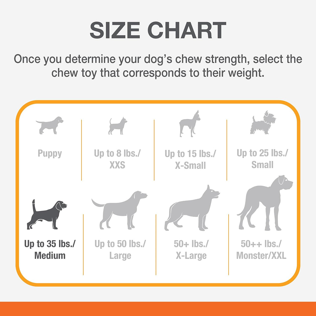 Nylabone medium dog chew toy packaging details