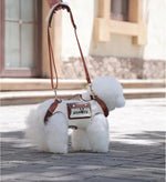 Lifestyle shot of Wakytu dog carrier during outdoor walk