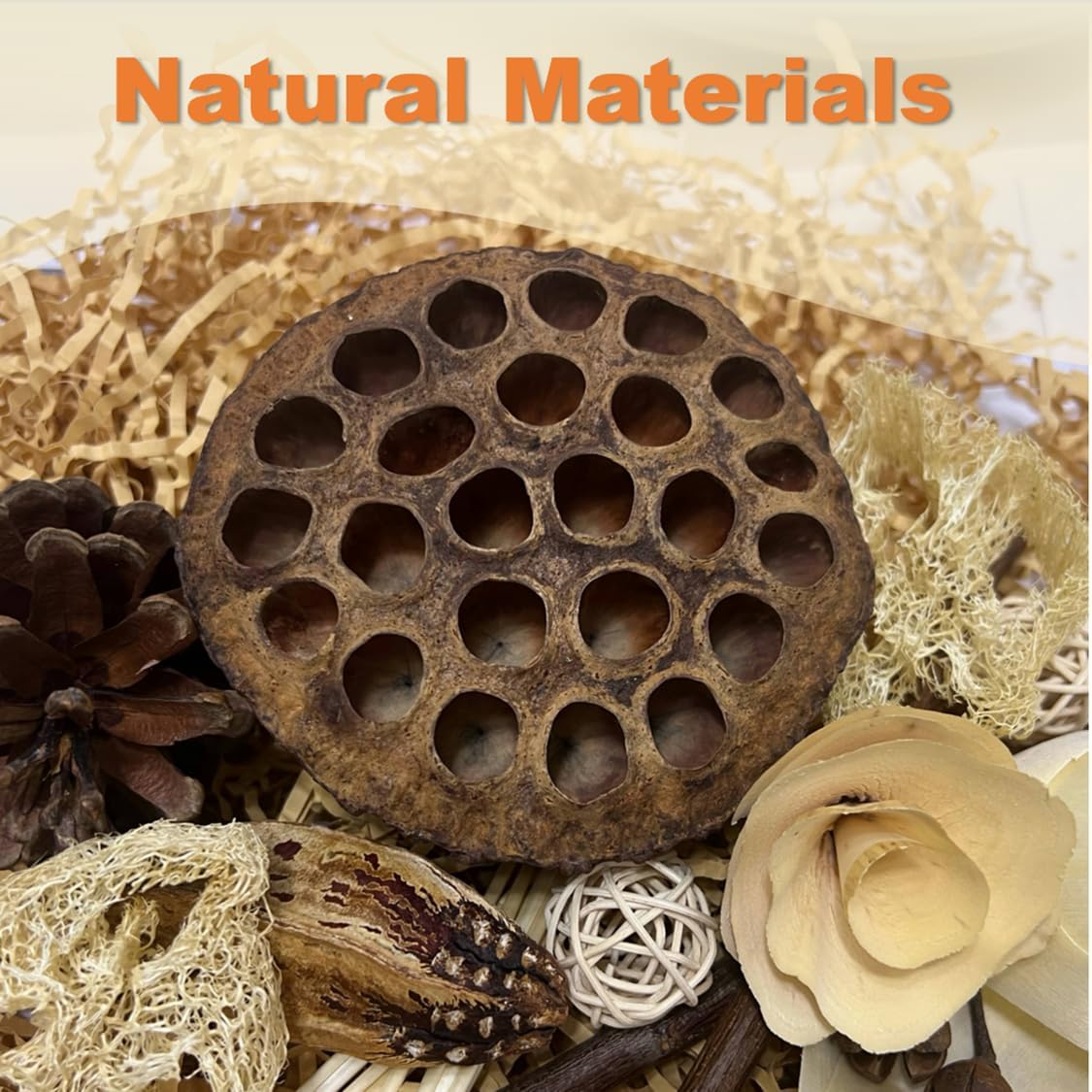 Close up of non toxic lotus pod and loofah slices bird toy components.