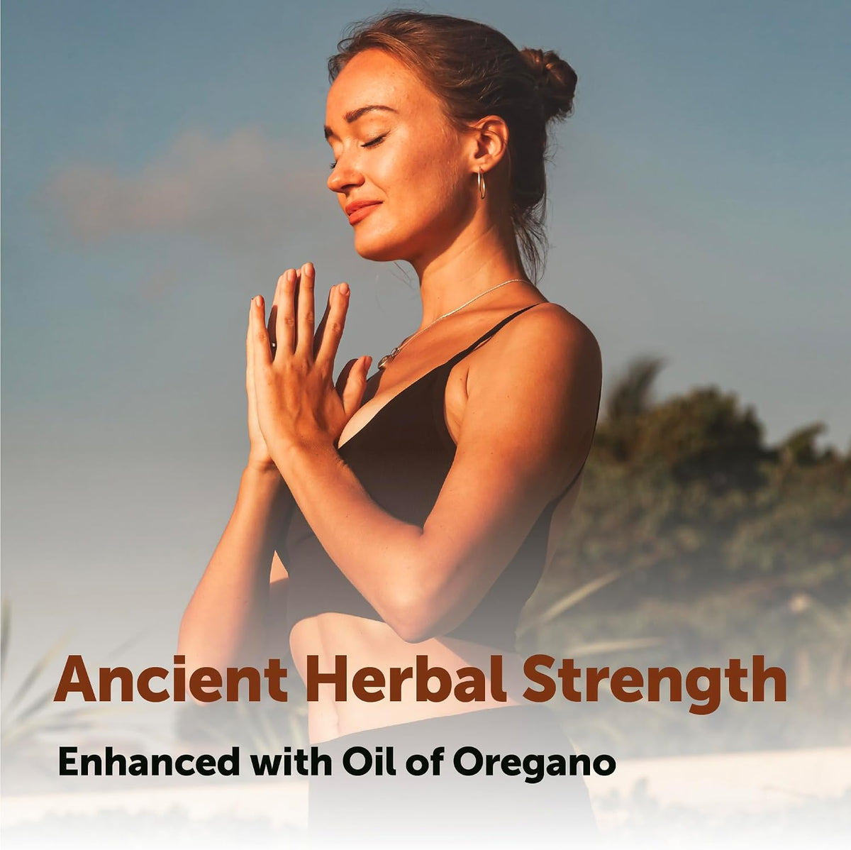 Micro Ingredients herbal complex ingredient highlights graphic