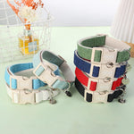 Dogwong adjustable dog collar flat lay