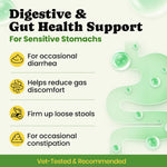 Back label of BuddyCheer dog supplement displaying 11 probiotic strains and 5 digestive enzymes.