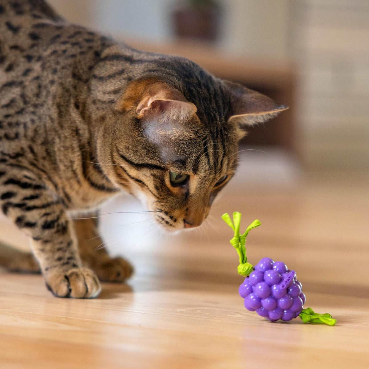 Catstages cat dental toy packaging and product angle