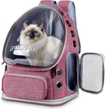 Pawstrip cat backpack carrier lifestyle shot with small pet