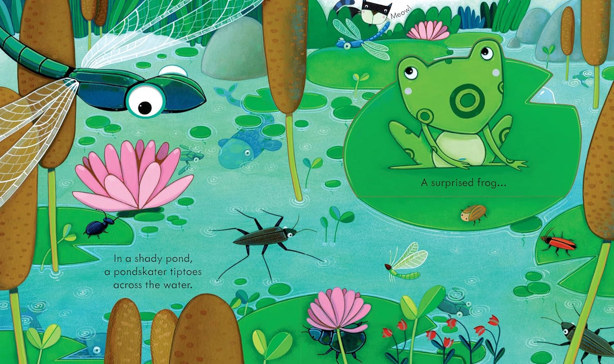Usborne non-fiction picture book back cover and details