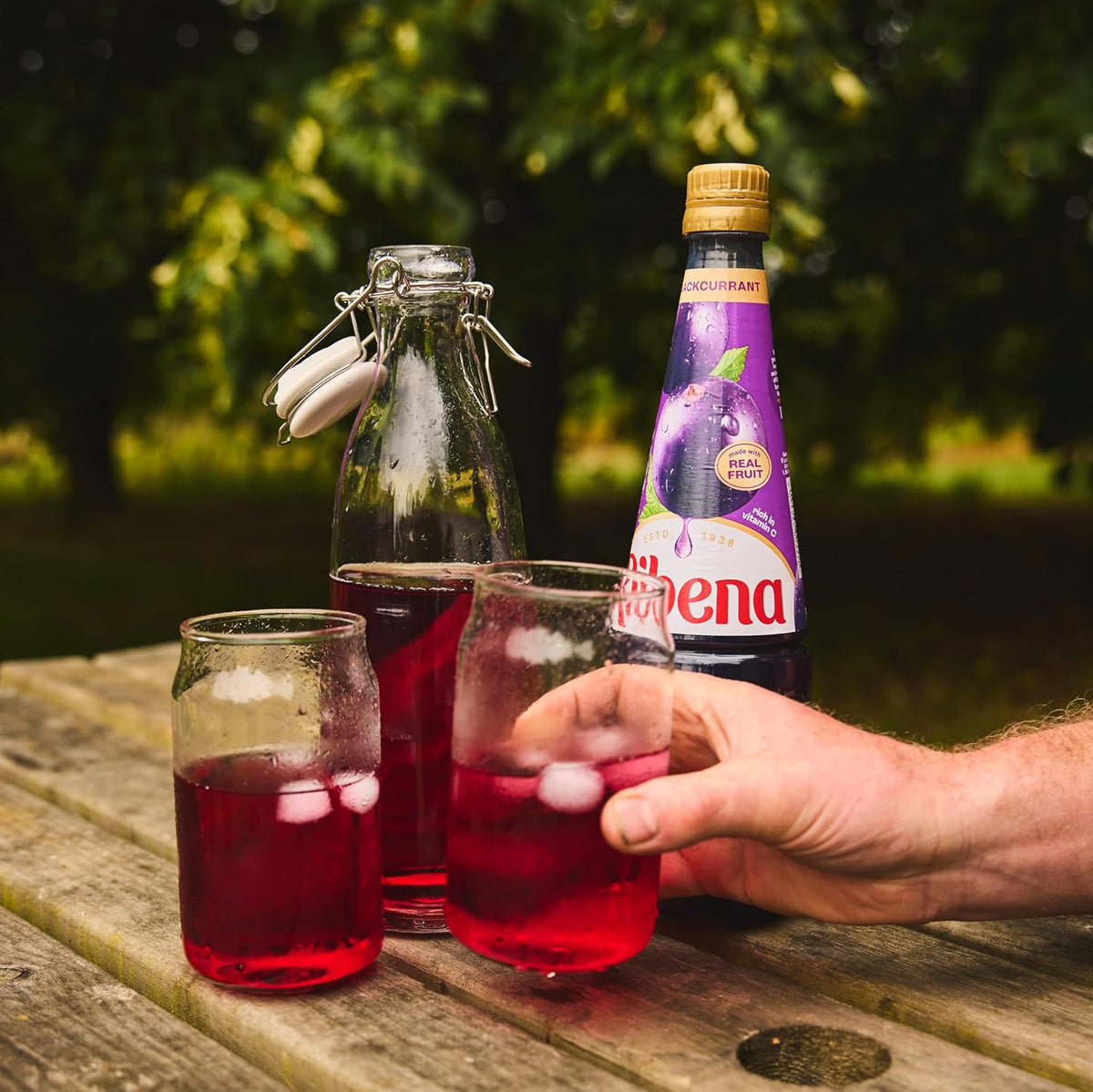 Ribena authentic imported blackcurrant concentrate full view