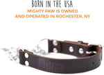 Trainer approved anti pull dog collar for safe leash training sessions