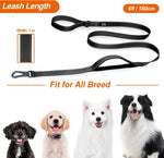 Sturdy metal D ring on the TwoEar leash holding an attached dog waste bag dispenser.
