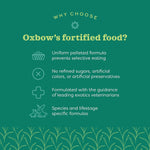 Back label of premium three pound bag small animal food showing feeding guidelines