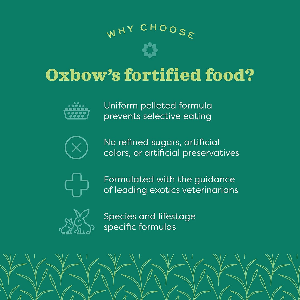 Back label of premium three pound bag small animal food showing feeding guidelines