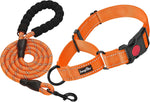 Haapaw adjustable martingale loop dog collar side view