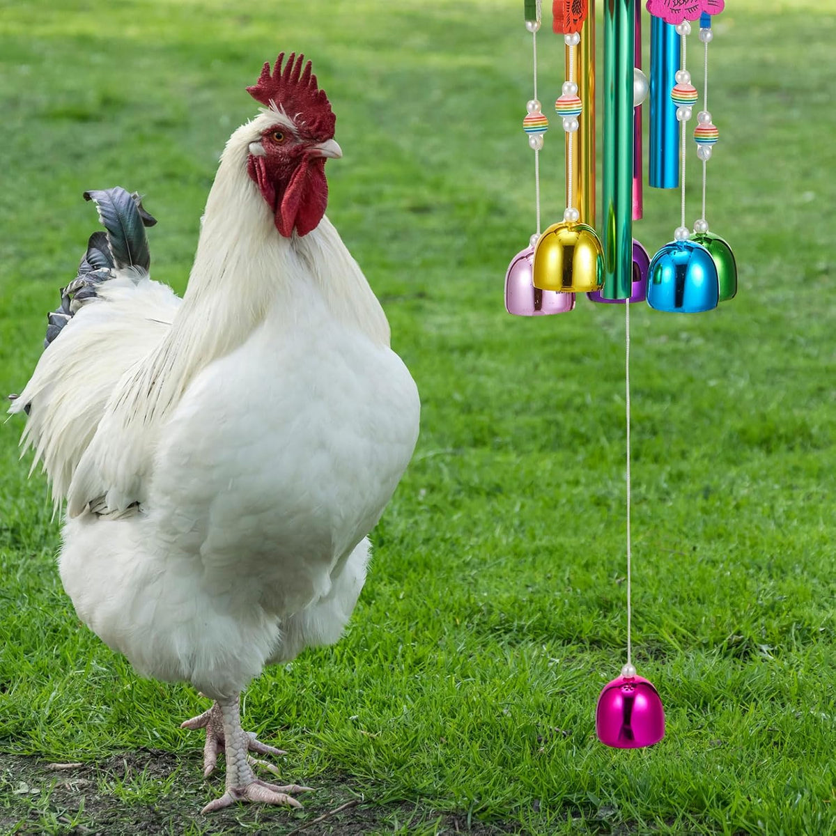 WinnerWhy chicken chew toy showing hanging hook mechanism