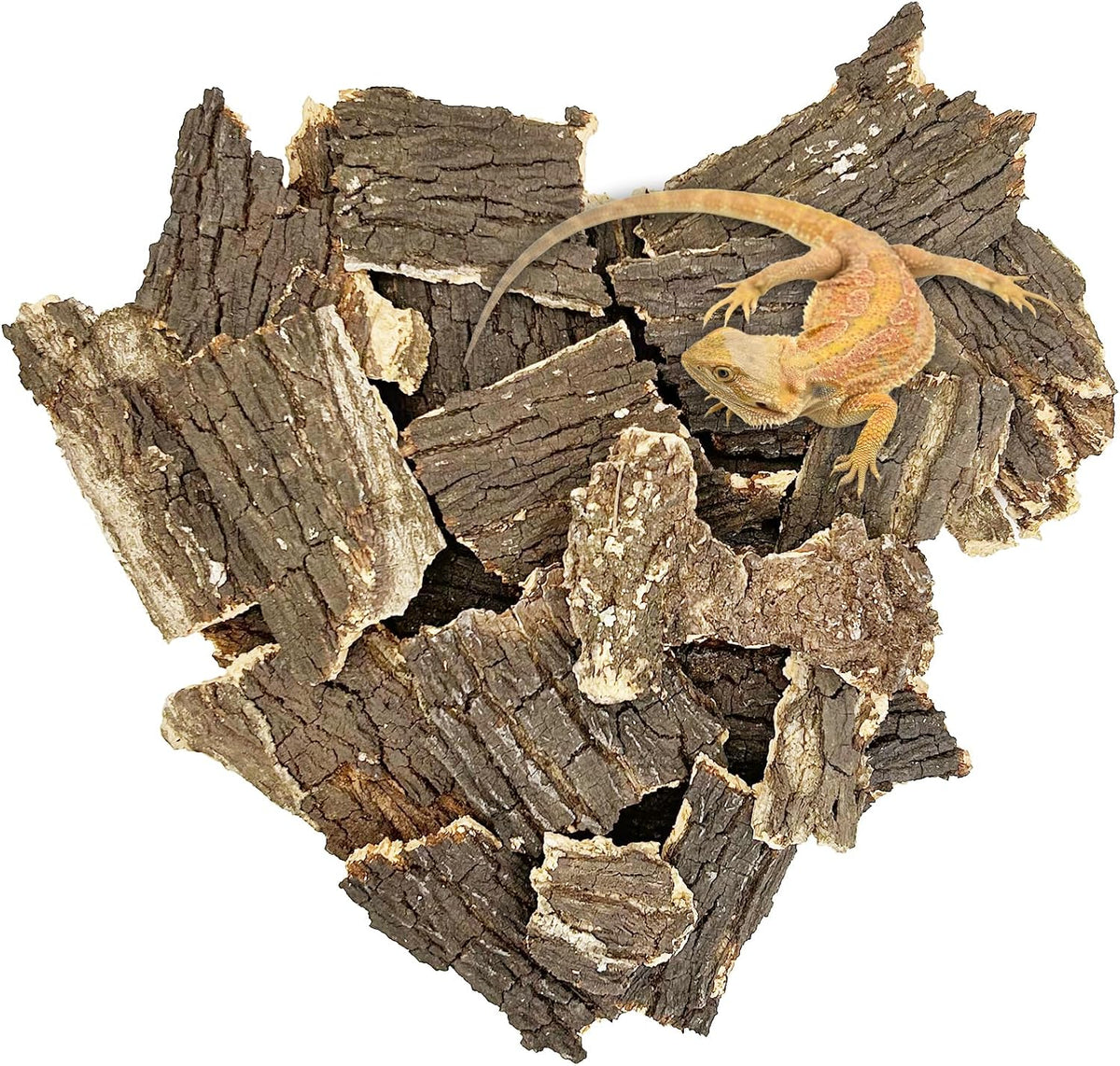 Reptile Cork Bark Bulk 2 Lb Cork Wood for Terrarium, Natural Flat Cork Bedding Terrarium Substrate for Bearded Dragon Snake Spiders Hermit Crabs Geckos Tortoise - Image 12