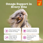 Zesty Paws Omega 3 dog allergy relief chews salmon flavor