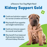 Pet Wellbeing Kidney Support Gold for Dogs - Supports Healthy Kidney Function, Fluid Balance, Energy Levels, Rehmannia, Dong Quai - Veterinarian-Formulated Herbal Supplement 2 oz (59 ml) - Image 9