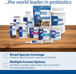 Authentic USA imported Probios digestive support for animals