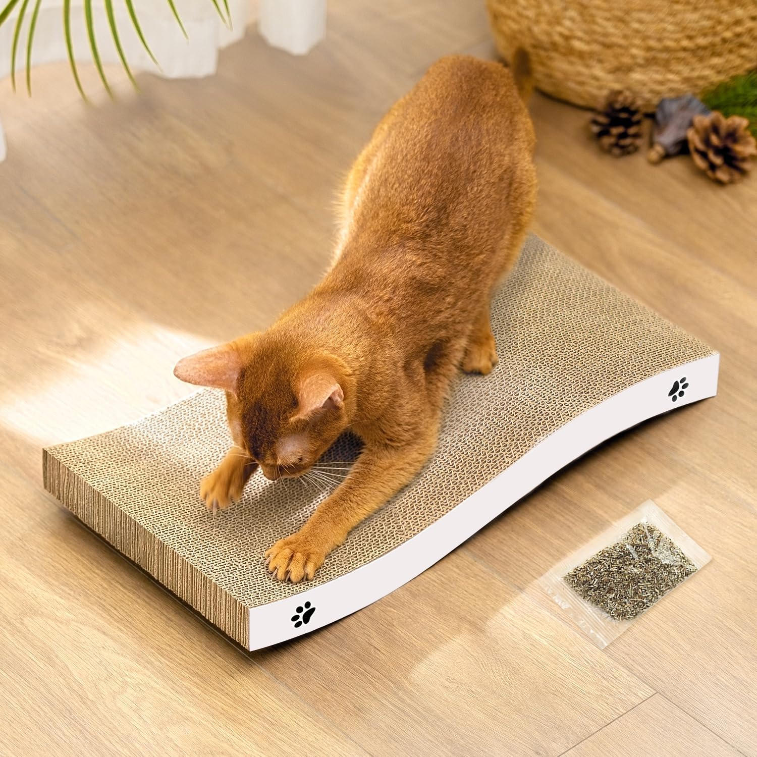 Coching cat scratcher cardboard front view highlighting curved lounge shape for indoor cats
