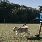 Luckydc heavy duty dog training collar detailing the secure limited cinch loop setup.
