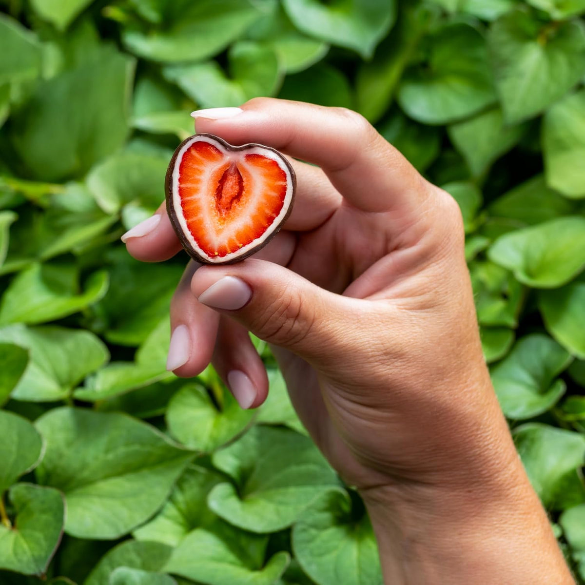 Tru Fru strawberries served in a bowl for snacking