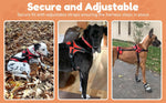 Close up of durable buckles on Doggie Stylz dog support vest