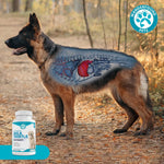 Healthy dog happy after taking liver support chewable