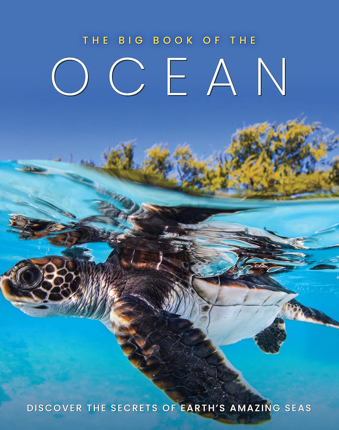The Big Book of the Ocean: Discover the Secrets of the Earth's Amazing Seas - Image 1