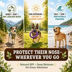 Authentic Natural Dog Company snout protector stick for healing crusty noses