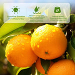Lwwtykspl orange peel product label details