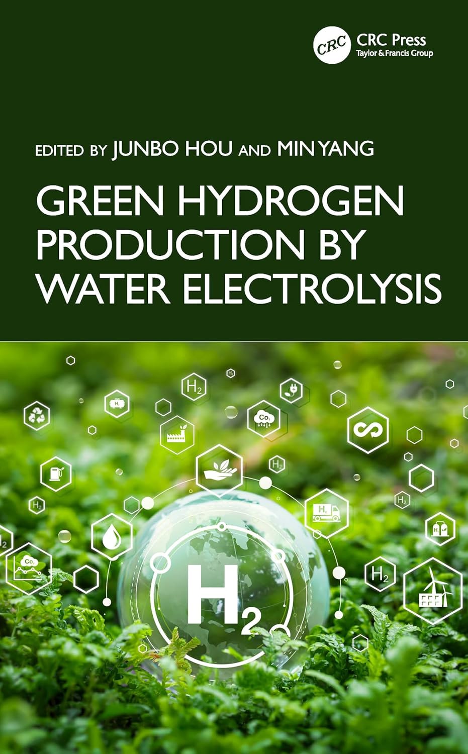 GREEN HYDROGEN PRODUCTION BY WATER ELECTROLYSIS (HB 2025) - Image 1