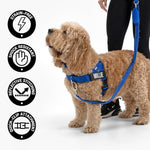 Close-up view of the heavy-duty metal carabiner locking clip on the Dog Friendly Co. khaki leash.