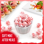 Individually wrapped starlight mint balls clear packaging view