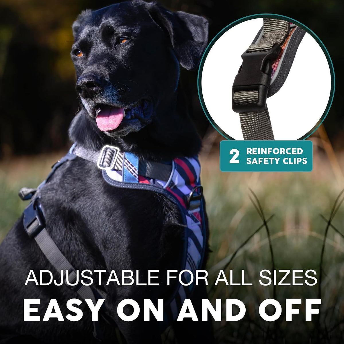 Embark adventure harness displayed with adjustable strap details