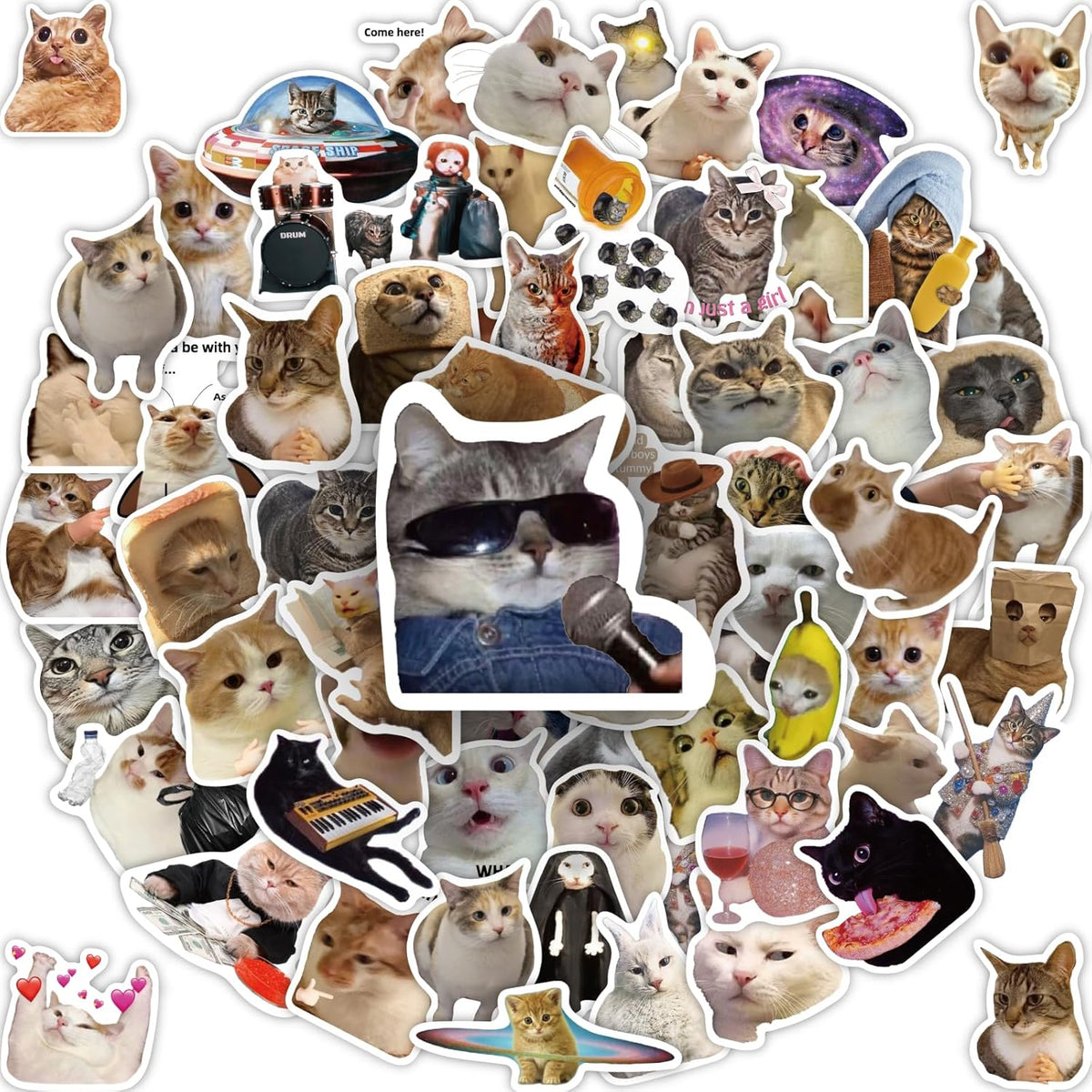 HopPixelle 100 piece cat meme sticker pack front view showing variety