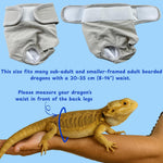 Premium bearded dragon travel carrier essentials kit featuring the washable grey protective gear