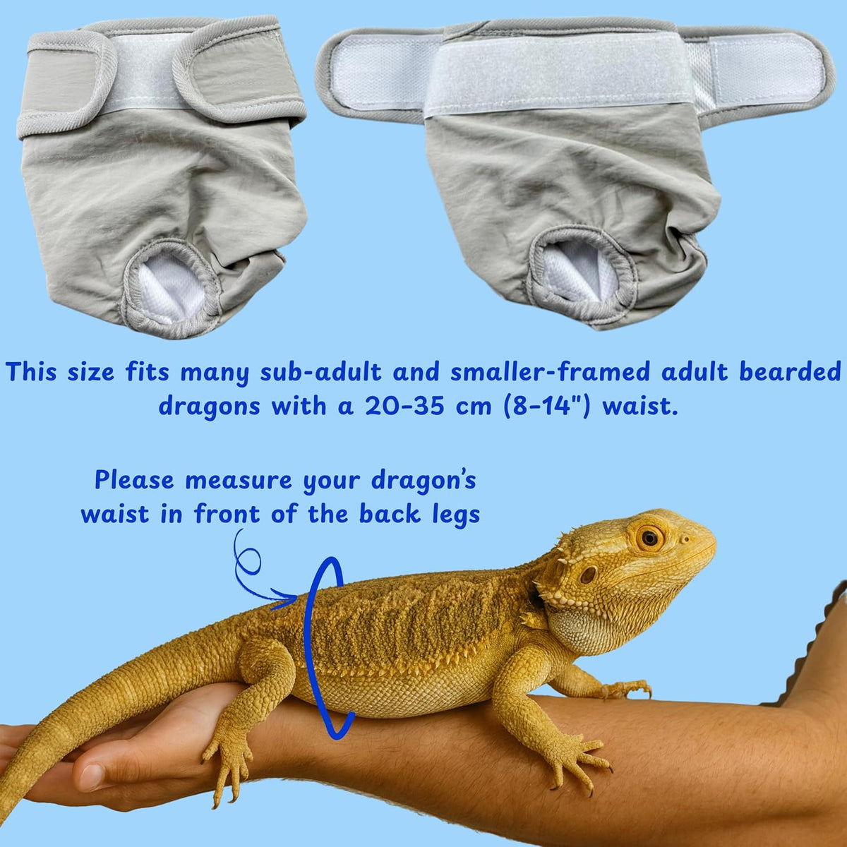 Premium bearded dragon travel carrier essentials kit featuring the washable grey protective gear