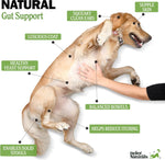 Deley Naturals dog probiotic ingredients label detail
