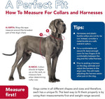 Adjustable metal training collar for small and medium dog breeds