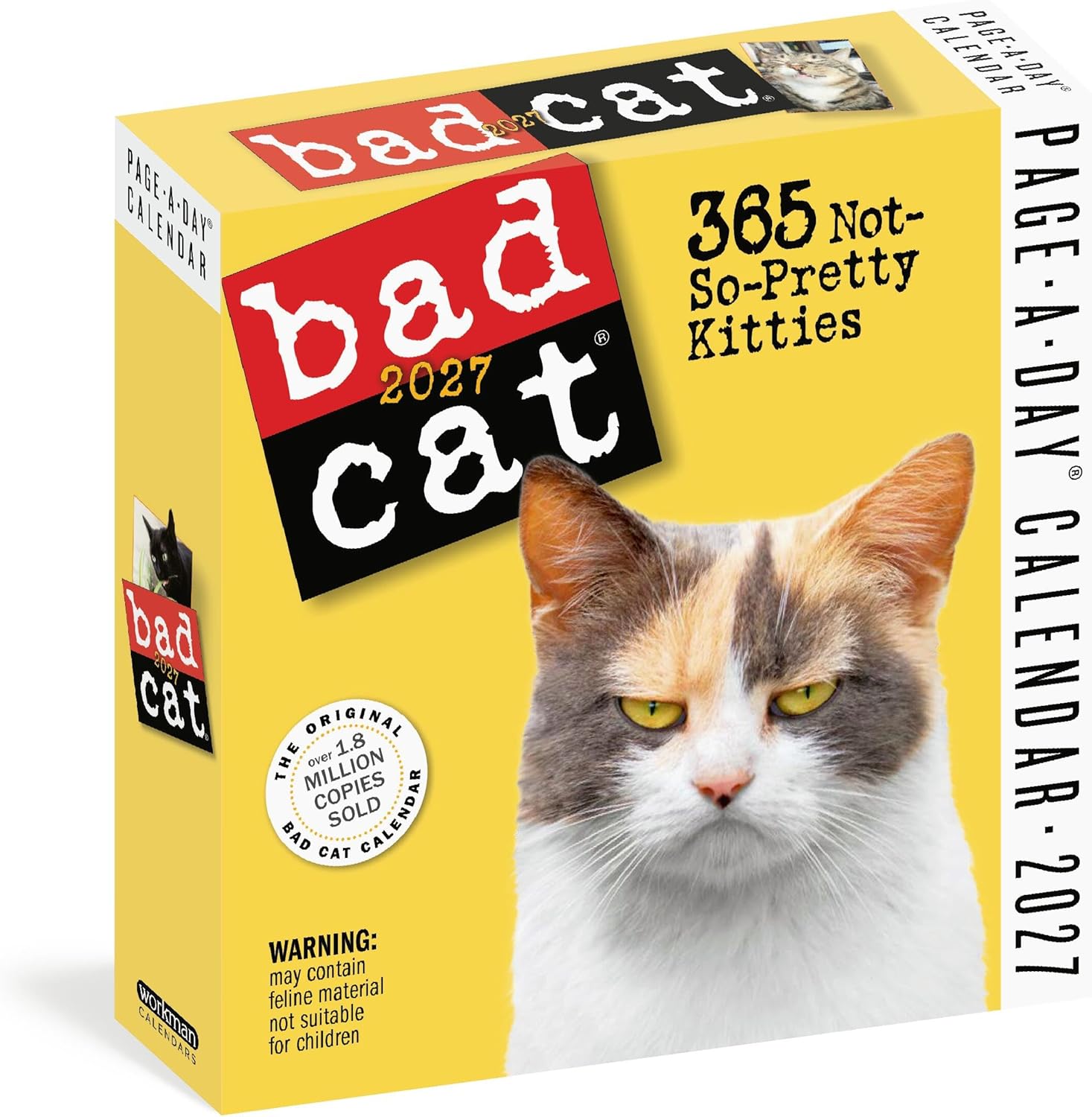 Bad Cat Page-A-Day® Calendar 2027: 365 Not-So-Pretty Kitties - Image 1
