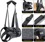 Heywean large dog rehabilitation harness showing rear leg openings